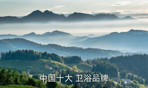中國十大 衛(wèi)浴品牌