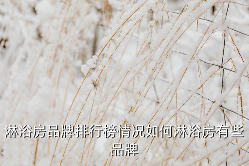 淋浴房品牌排行榜情況如何淋浴房有些品牌