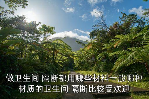 做衛(wèi)生間 隔斷都用哪些材料一般哪種材質(zhì)的衛(wèi)生間 隔斷比較受歡迎