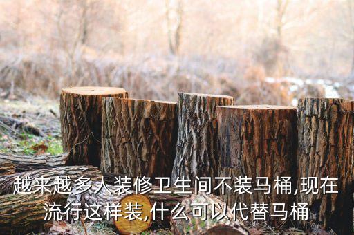 越來越多人裝修衛(wèi)生間不裝馬桶,現(xiàn)在流行這樣裝,什么可以代替馬桶