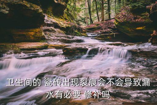 四維衛(wèi)浴瓷磚修補(bǔ)地磚圖片