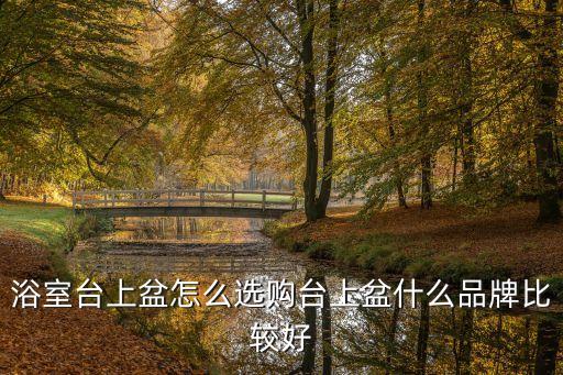 衛(wèi)浴設(shè)計(jì)雙盆效果圖片