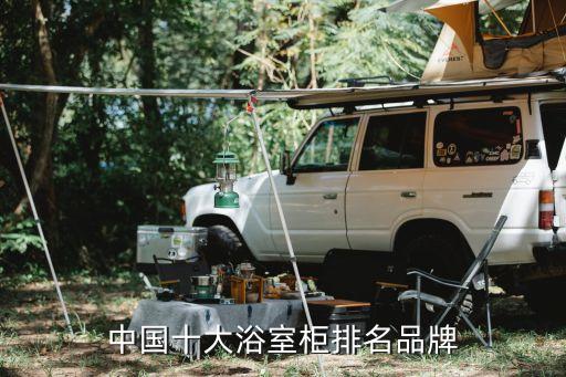 衛(wèi)浴生產(chǎn)廠家定制家具品牌,平頂山全屋定制家具生產(chǎn)廠家