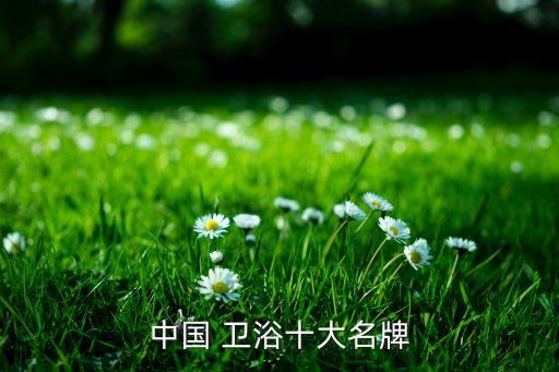 國產(chǎn)衛(wèi)浴瓷磚品牌排行,國產(chǎn)二三線衛(wèi)浴品牌排行