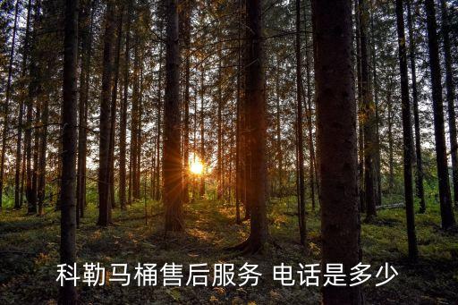 金華衛(wèi)浴下水管供應(yīng)站電話