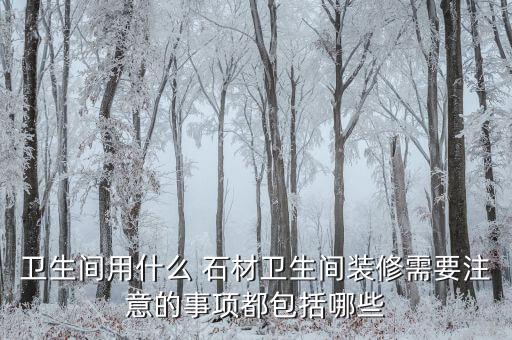 衛(wèi)生間用什么 石材衛(wèi)生間裝修需要注意的事項都包括哪些