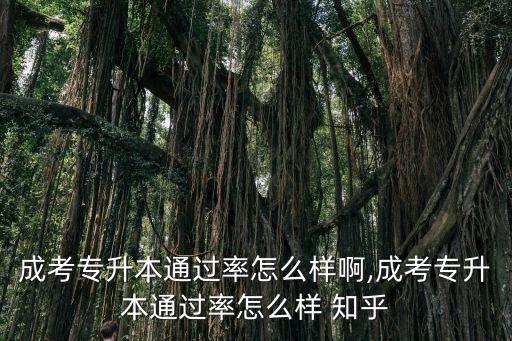 成考專升本通過率怎么樣啊,成考專升本通過率怎么樣 知乎