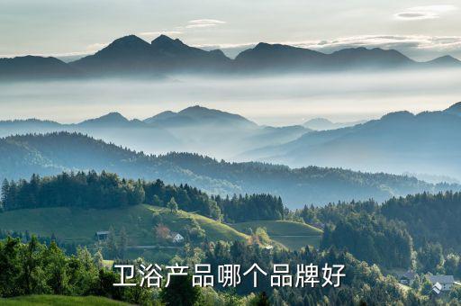 衛(wèi)浴產(chǎn)品哪個(gè)品牌好