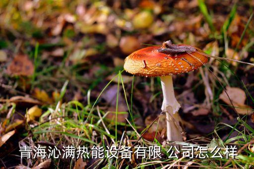  青海沁滿熱能設(shè)備有限 公司怎么樣