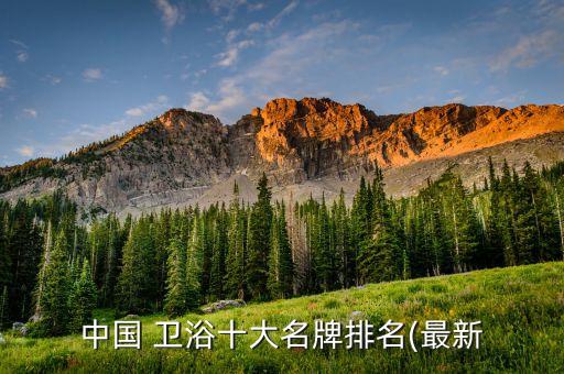 TOT0是什么品牌衛(wèi)浴,ssww是什么衛(wèi)浴品牌