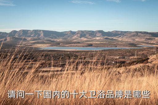 請(qǐng)問一下國(guó)內(nèi)的十大衛(wèi)浴品牌是哪些