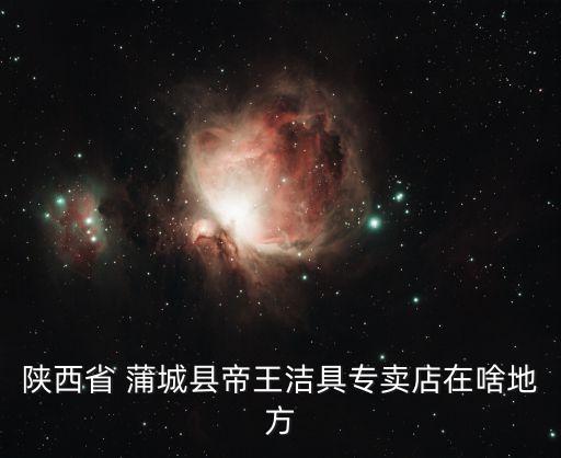 陜西省 蒲城縣帝王潔具專賣店在啥地方