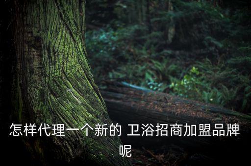 怎樣代理一個(gè)新的 衛(wèi)浴招商加盟品牌呢