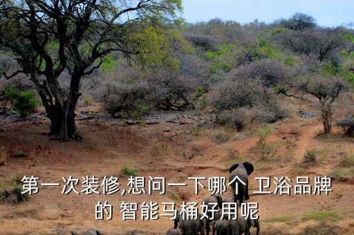 弘勁智能衛(wèi)浴價格表圖片,九牧智能衛(wèi)浴馬桶價格表