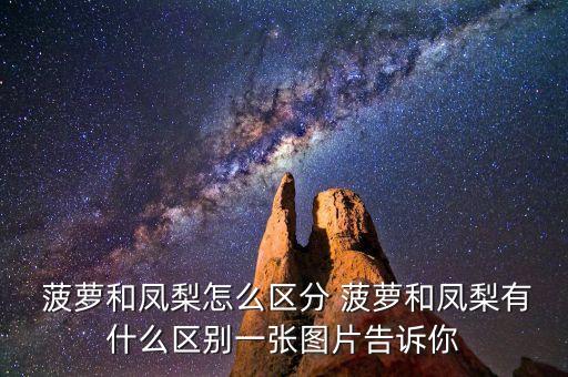 馬口菠蘿圖片衛(wèi)浴