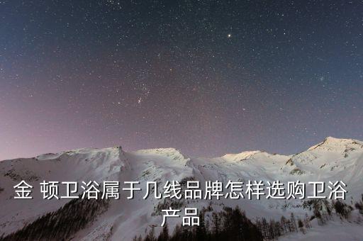 萊爾斯頓衛(wèi)浴價(jià)格表圖片