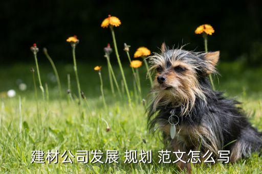 衛(wèi)浴品牌招商規(guī)劃方案范文