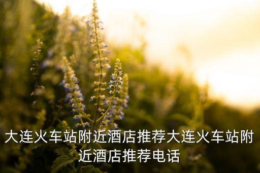大連火車站附近酒店推薦大連火車站附近酒店推薦電話
