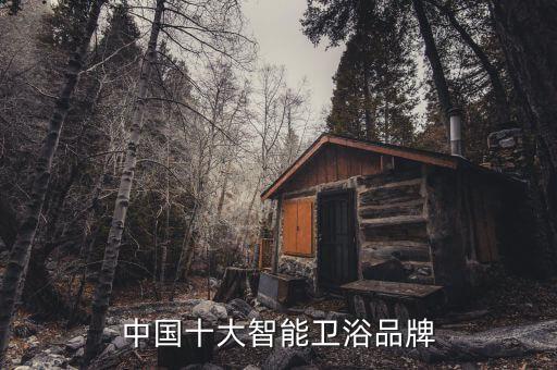 中國(guó)十大智能衛(wèi)浴品牌