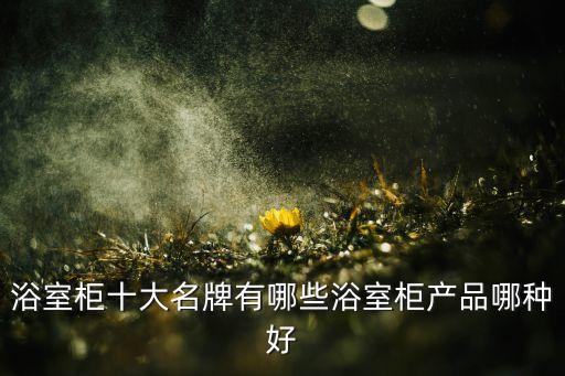 浴室柜十大名牌有哪些浴室柜產(chǎn)品哪種好