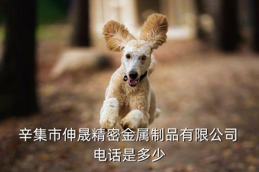 辛集衛(wèi)浴裝修公司電話地址
