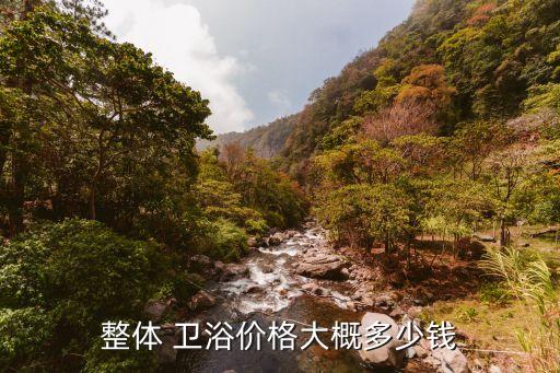 整體 衛(wèi)浴價格大概多少錢