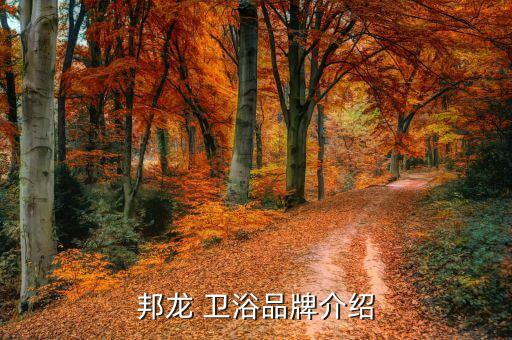 邦龍 衛(wèi)浴品牌介紹