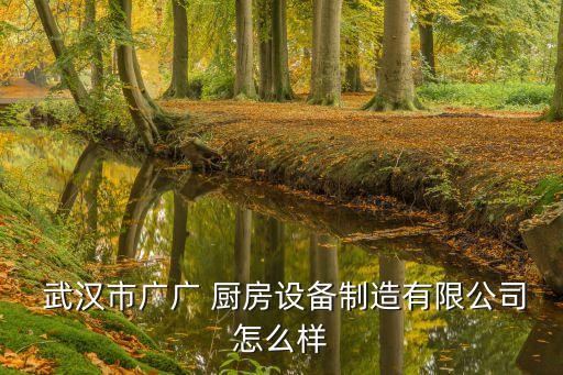  武漢市廣廣 廚房設(shè)備制造有限公司怎么樣