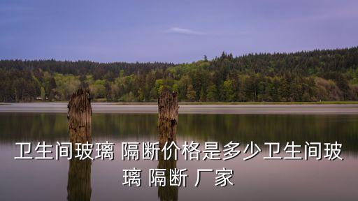 花都區(qū)衛(wèi)浴隔斷廠家地址,衛(wèi)浴隔斷玻璃門廠家