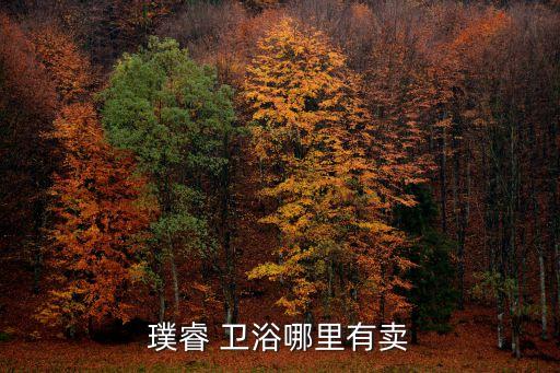 璞睿 衛(wèi)浴哪里有賣