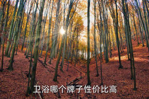 各品牌衛(wèi)浴怎么選擇好用,衛(wèi)浴三件套怎么選擇