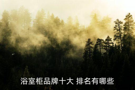 衛(wèi)浴柜上榜品牌排名,惠達(dá)衛(wèi)浴柜全國排名第幾