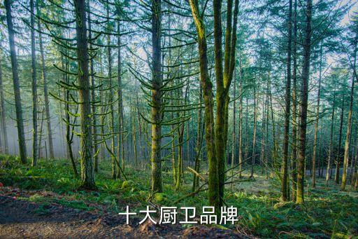 十大廚衛(wèi)品牌