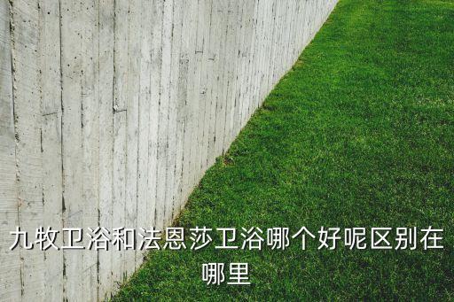 九牧衛(wèi)浴和法恩莎衛(wèi)浴哪個(gè)好呢區(qū)別在哪里