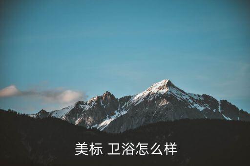 美標(biāo)衛(wèi)浴是十大品牌嗎