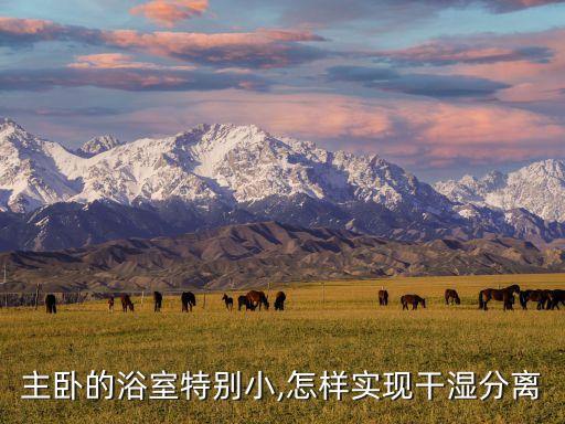 主臥的浴室特別小,怎樣實(shí)現(xiàn)干濕分離