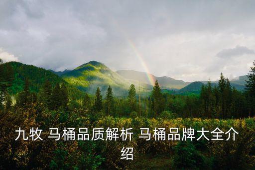 九牧衛(wèi)浴馬桶售后服務(wù)電話,九牧馬桶壞了售后服務(wù)怎么處理