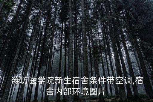 濰坊麗都衛(wèi)浴價格表圖片