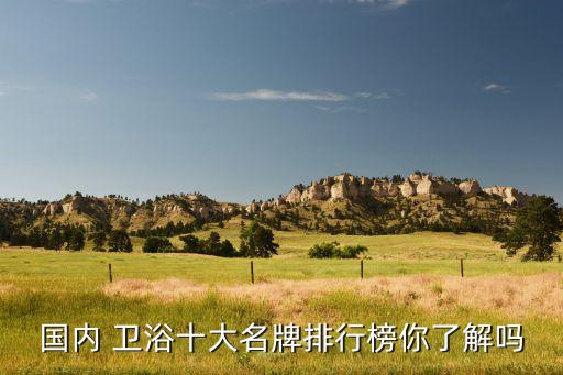 環(huán)球衛(wèi)浴是品牌嗎,環(huán)球島衛(wèi)浴是幾線品牌