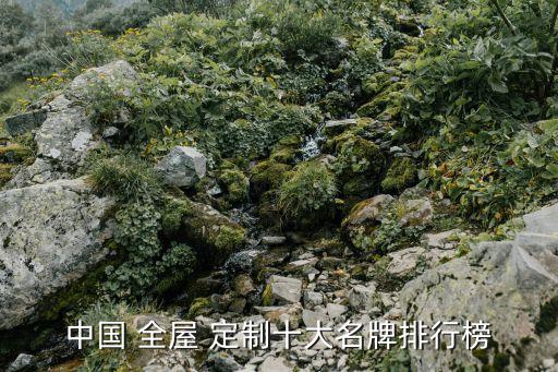 中國 全屋 定制十大名牌排行榜