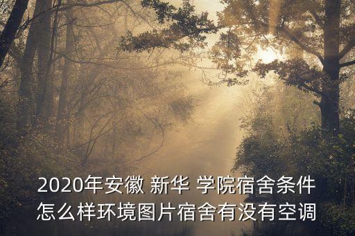 2020年安徽 新華 學(xué)院宿舍條件怎么樣環(huán)境圖片宿舍有沒(méi)有空調(diào)