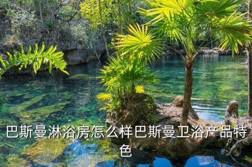 巴斯曼淋浴房怎么樣巴斯曼衛(wèi)浴產(chǎn)品特色