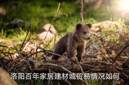  洛陽百年家居建材城貿(mào)易情況如何