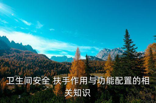 衛(wèi)生間安全 扶手作用與功能配置的相關(guān)知識