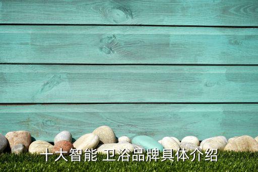 十大智能 衛(wèi)浴品牌具體介紹