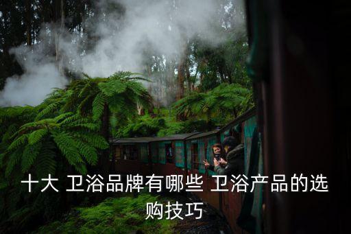 十大 衛(wèi)浴品牌有哪些 衛(wèi)浴產(chǎn)品的選購技巧