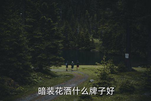  暗裝花灑什么牌子好