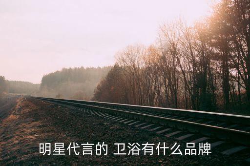 明星代言的 衛(wèi)浴有什么品牌
