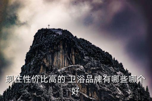 現(xiàn)在性價比高的 衛(wèi)浴品牌有哪些哪個好