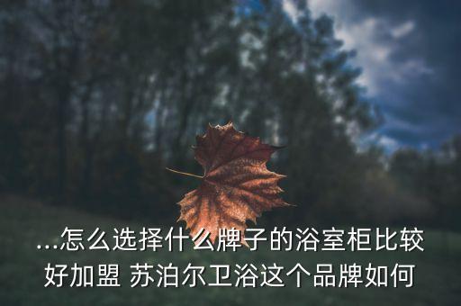 ...怎么選擇什么牌子的浴室柜比較好加盟 蘇泊爾衛(wèi)浴這個品牌如何